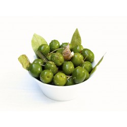 ACEITUNA CAMPO REAL