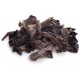 TROMPETA NEGRA