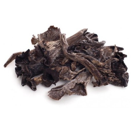TROMPETA NEGRA