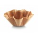 TULIPA GALLETA