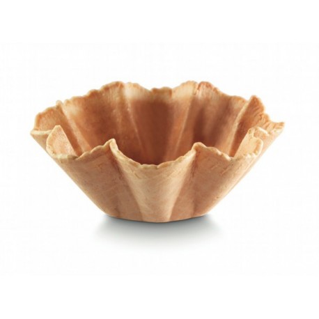 TULIPA GALLETA