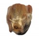 PICHÓN AHOGADO