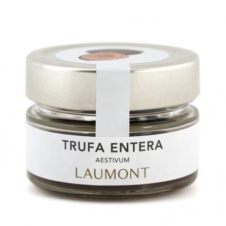 TRUFA AESTIVUM CONSERVA
