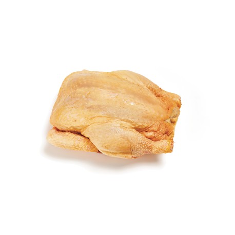 SUPREMA DE PULARDA