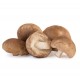 SHIITAKE