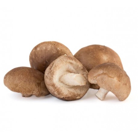 SHIITAKE