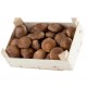 SHIITAKE