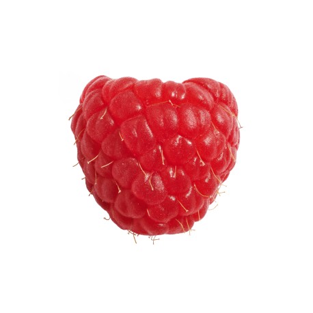 SORBETE DE FRAMBUESA