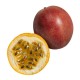 SORBETE DE MARACUYÁ - FRUTA DE LA PASIÓN