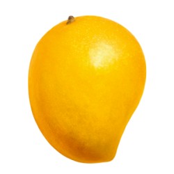 SORBETE DE MANGO BRASIL