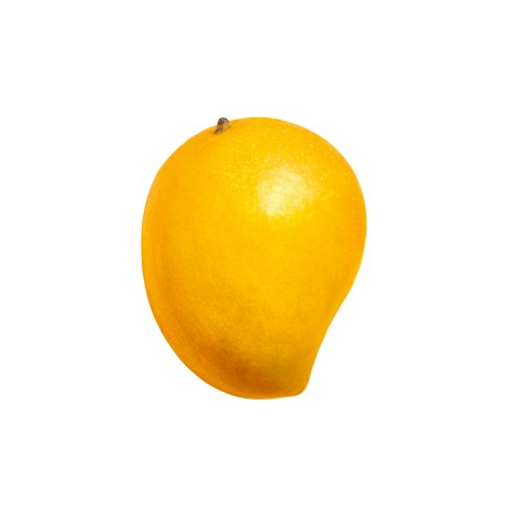 SORBETE DE MANGO BRASIL