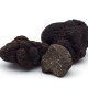 TRUFA MELANOSPORUM CONGELADA