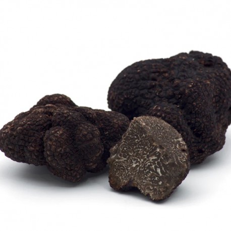 TRUFA MELANOSPORUM CONGELADA