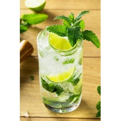 SORBETE DE MOJITO