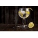 SORBETE DE GIN TONIC