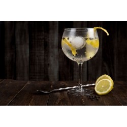SORBETE DE GIN TONIC