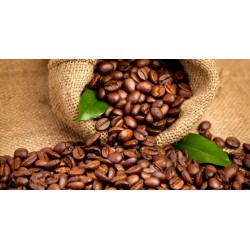HELADO DE CAFÉ 100% ARÁBICA