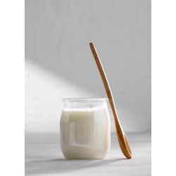 HELADO DE YOGUR DE GRANJA