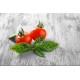 SORBETE DE TOMATE Y ALBAHACA