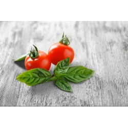 SORBETE DE TOMATE Y ALBAHACA